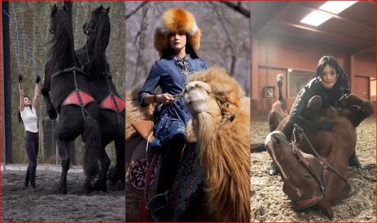 낙타들과도 함께 하는 타오타오는 말들과 서로 신뢰를 바탕으로 한 조련에서도 솜씨를 보여준다./인스타그램 @Taotao Ai Ma