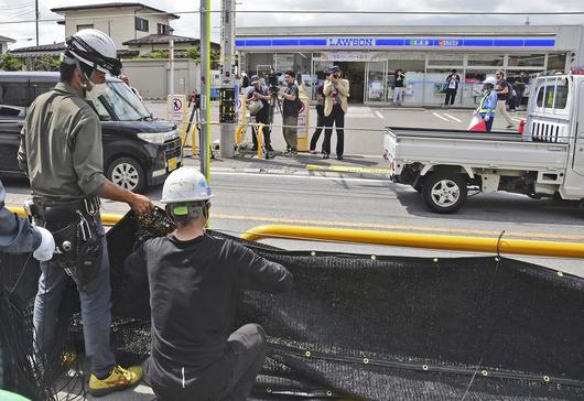 조선일보