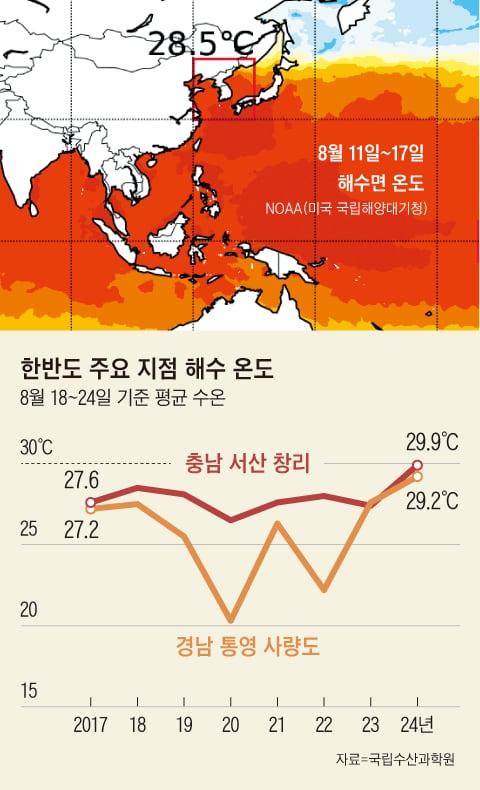 조선일보