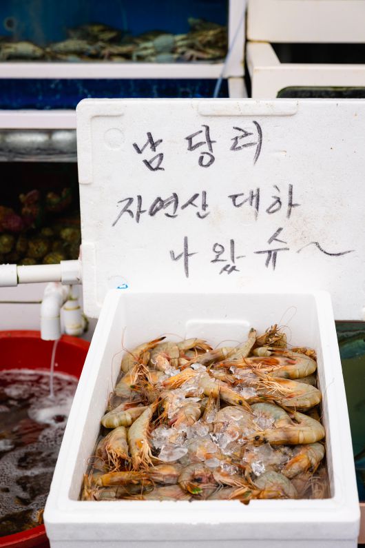 10월 31일까지 '홍성 남당항 대하 축제'를 여는 '남당항 해양수산복합센터(남당항 수산 시장)'의 판매대에서 대하가 제철이 왔음을 알리고 있다. / 이건송 영상미디어 기자