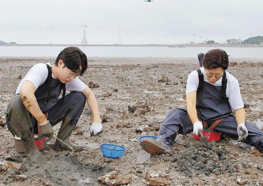 조선일보