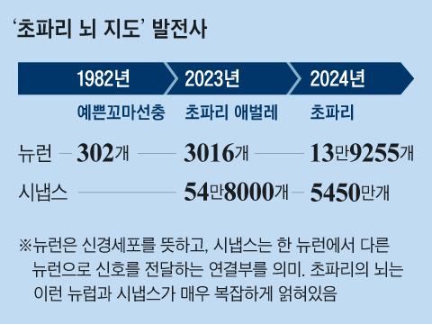 조선일보