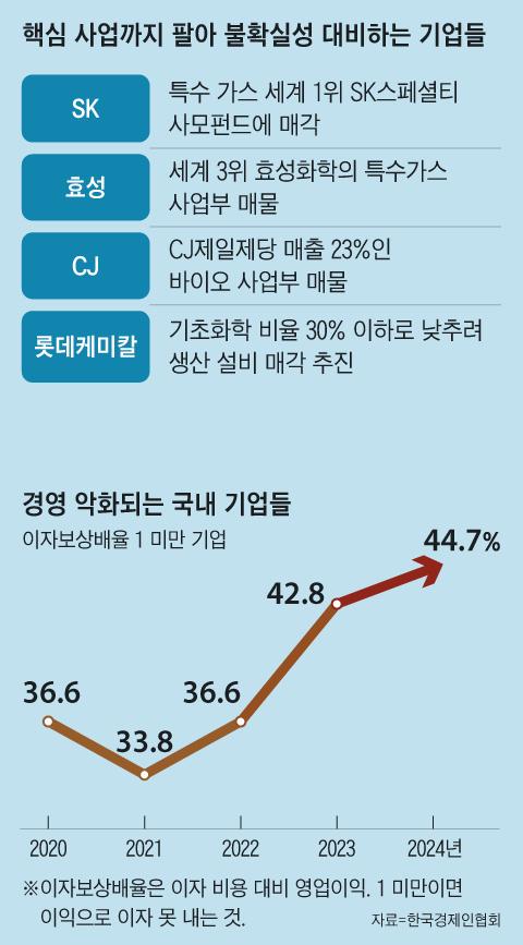 조선일보