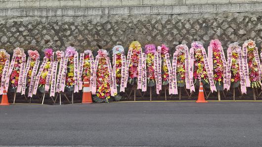 조선일보