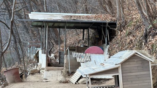 봉화산 꽃사슴의 최초 근원지로 추정되는 생목동 사슴 농장의 모습. /구동완 기자