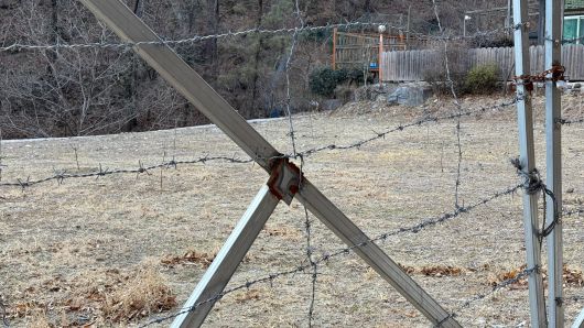사슴 진입을 막기 위해 텃밭에 설치된 철조망. /구동완 기자