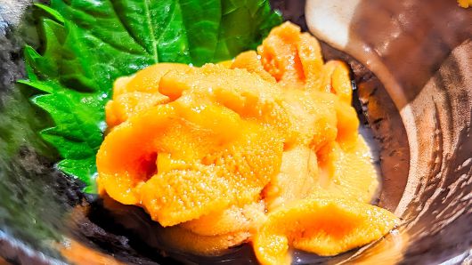 일본 도호쿠(東北·동북) 지역의 명물인 우니(海胆·성게)/portal.town.hirono.iwate.jp