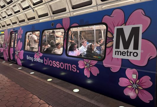 워싱턴 DC의 지하철 외벽에 벚꽃 래핑이 돼 있는 모습. /워싱턴=김은중 특파원