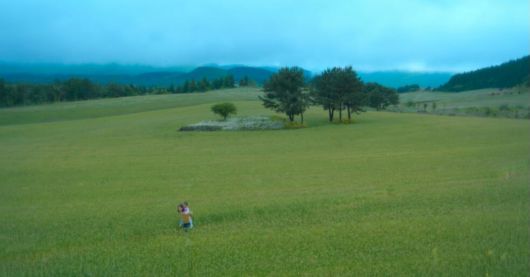 애순이가 어린 금명이를 업고 걷던 메밀꽃밭은 제주 오라동 메밀밭이다. '폭싹 속았수다' 스틸컷.