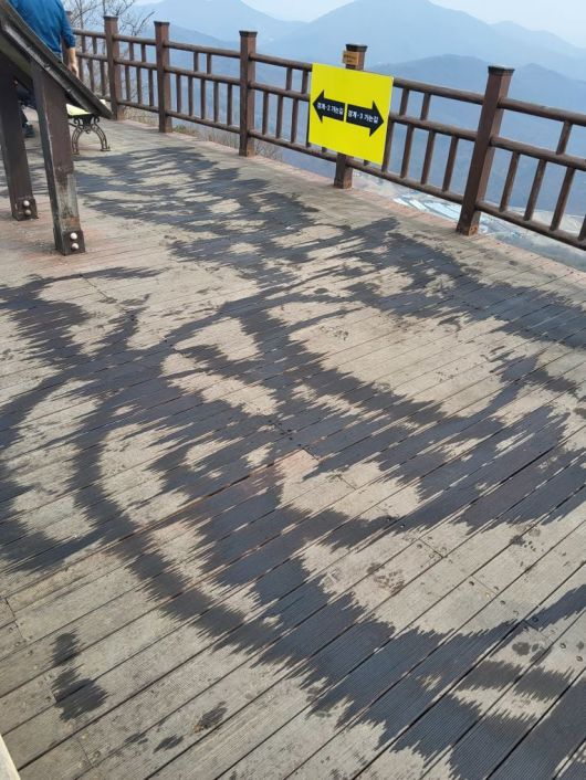 조선일보