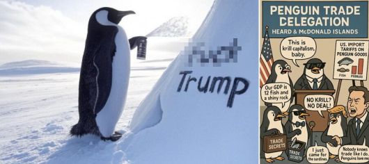 미국 도널드 트럼프 행정부가 남극의 무인도 '허드 맥도널드 제도'에 관세를 부과한 것을 풍자하는 합성 사진과 일러스트./ 엑스(X)