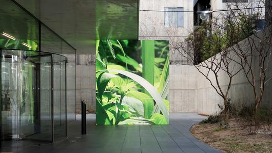 인도네시아 작가 그룹 트로마라마의 국내 첫 개인전이 열리고 있는 서울 청담동 송은 전시 전경. /송은문화재단