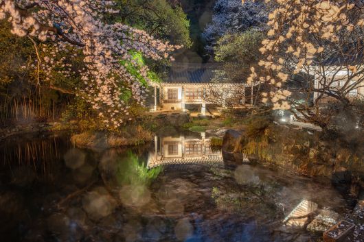 조금 더 늦은 저녁, 그나마 햇빛이 남아 있어 꽃잎의 색상이 살아 있지만 시간이 흐를수록 본래 자연의 색은 사라지고 노란 빛만 남게 된다.