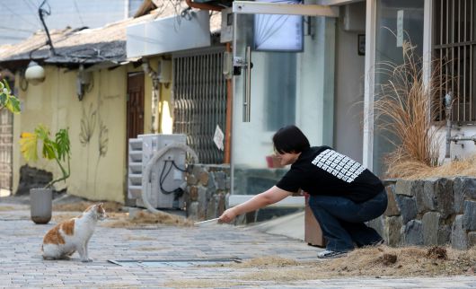인적이 드문 전주 서노송동에 위치한 책방 '물결서사'. 길고양이들이 이 일대 빈 상가에 터를 잡고 골목골목을 도도하게 누빈다. /김영근 기자