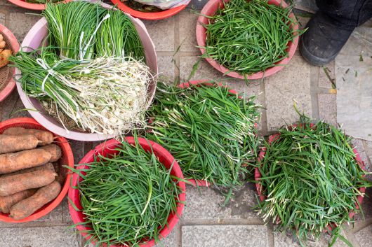 달래가 시장에 등장하면 봄이 왔다는 증거다. 장에서 만난 달래와 부추. /윤혜자 제공