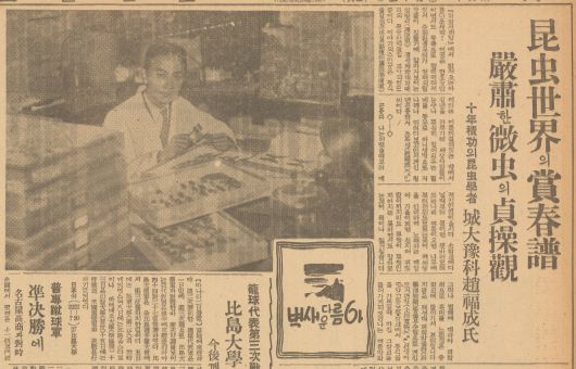 조선일보 1939년 1월5일자에 실린 곤충학자 조복성 탐방기. 경성제대 예과 조수 신분이었지만 그는 당대의 대표적 조선인 과학자였다. 조선은 물론 만주, 내몽골, 화북지방까지 채집 여행을 다니며 곤충을 채집했다.