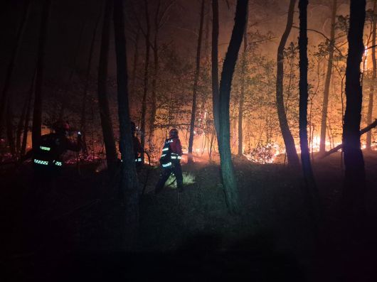 28일 오후 대구 북구 함지산에서 발생한 산불 현장에서 산림청 소속 산불진화대원들이 야간진화작업을 하고 있다. /산림청