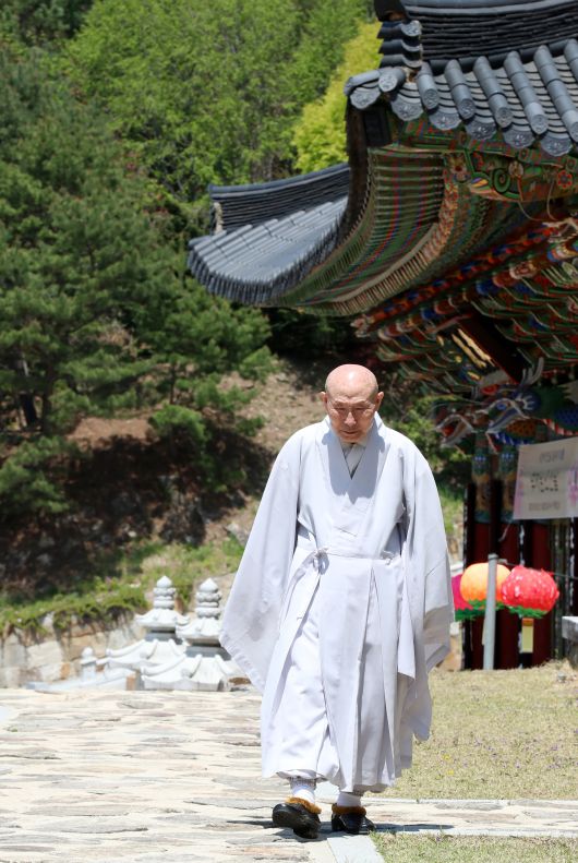 경북 봉화 축서사 경내를 걷고 있는 무여 스님. 스님은 사진 촬영 후에도 한 신도가 참선수행에 대해 질문하자 친절하게 방법을 설명했다. /신현종 기자