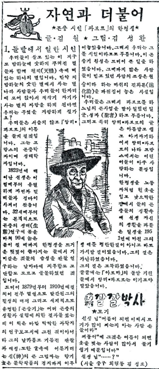 광복 이후에도 파브르의 인기는 여전했다.  조선일보는 1956년 6월11~28일 '자연과 더불어'란 제목아래 파브르 일대기를 17회 연재했다. 사진은 첫회가 실린 조선일보 6월11일자.