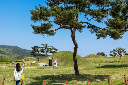 금성면 고분군은 의성이 삼한 시대 때 '조문국'이었음을 알리는 사적지다. 경덕왕릉<사진> 등 고분 370여 기가 산재해있다. / 양수열 영상미디어 기자