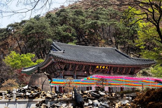 지난 23일 찾은 '고운사' 경내엔 전소된 '가운루' 등 전각이 돌무더기가 되어 쌓여있었다. 화마에 깨진 범종 뒤쪽 대웅보전 앞엔 새 연등이 걸려있다. / 양수열 영상미디어 기자