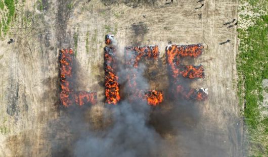 튀르키예 경찰이 리제 지역에서 대마초 20톤을 소각해 주민 2만5000명이 환각 증상을 겪었다./튀르키예투데이 캡처