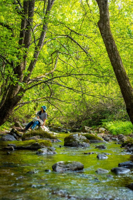 '샘터' 부근의 계곡에서 물소리를 들으며 '물멍'은 필수. 여름엔 선자령 등산로에서 '고진감래'를 느끼게 해주는 오아시스같은 곳이다. / 이신영 영상미디어 기자