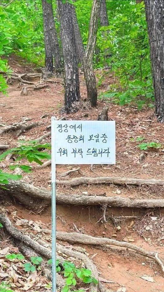 17일 경기도 포천의 한 호수공원 둘레길에 "정상에서 동창회 중이니 우회 해달라"는 내용의 팻말이 꽂혀 있다. /JTBC '사건반장'