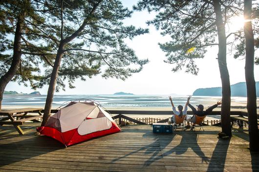 바다와 갯벌이 이보다 더 가까울 순 없는 '병술만어촌체험마을'의 캠핑장. '오션 뷰' 객실(자리)에 오후의 해가 서서히 스며들고 있다. 소나무 아래 '솔향 테라피'는 덤이다. / 김용재 영상미디어 기자