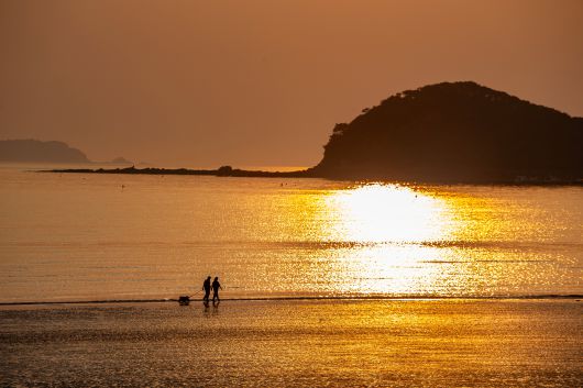 황금빛 노을로 물들어가는 '운여해변'. 갯벌 너머 해루질에 나선 이들마저 그림이 된다. / 김용재 영상미디어 기자