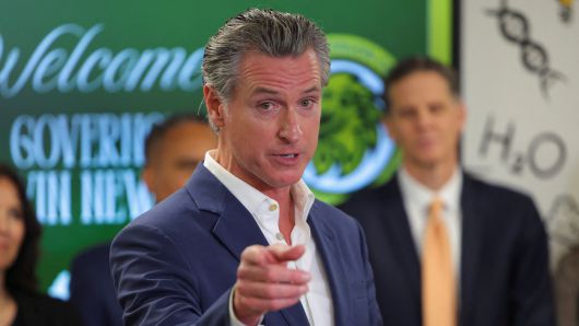 개빈 뉴섬 캘리포니아 주지사./로이터 연합뉴스