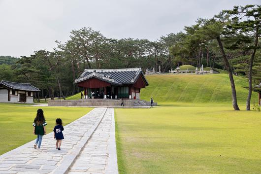초록 옷을 입은 세종대왕과 소헌왕후의 합장릉인 '세종대왕릉'. / 이경호 영상미디어 기자
