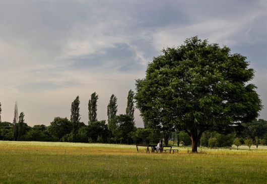 늦은 오후에 흡사 천국 같은 풍경을 자랑하는 강천섬은, '여주 관광 순환버스'의 '꽃섬투어' 코스다. 공휴일과 주말에만 운행하는 꽃섬투어는 여주 남한강의 섬으로 안내한다. / 이경호 영상미디어 기자