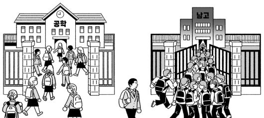전국 공학 고교는 내신 우위를 노린 여학생들이 몰려 '여고화' 되는 경우가 흔하다. 반면 남학생들은 여학생을 피해 남고에 가려는 수요가 높다. 지역별 남고에 지원이 몰리거나 아예 집 전체가 남고 근처로 이사를 가기도 한다. /일러스트=김영석