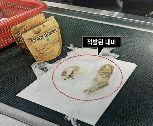 대구국제공항을 통해 밀반입하려다 적발된 대마./대구지검