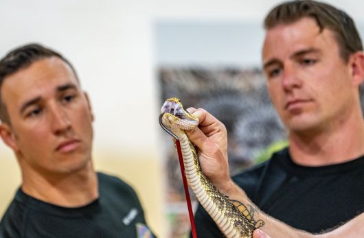 미 육군 레인저 및 공수부대원들에 대한 교육을 전담하는 파충류 팀 소속 앤드루 카파티 상사와 딜런 바버 하사가 지난 4월 오픈 하우스 행사에서 독사 구별법을 설명하고 있다./미 육군
