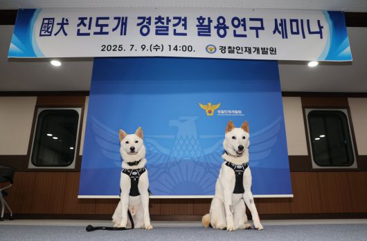 9일 오후 충남 아산 경찰인재개발원에서 진돗개 경찰견 활용연구 세미나를 개최했다. 상만(왼쪽)과 임회(오른쪽)의 모습./박성원 기자