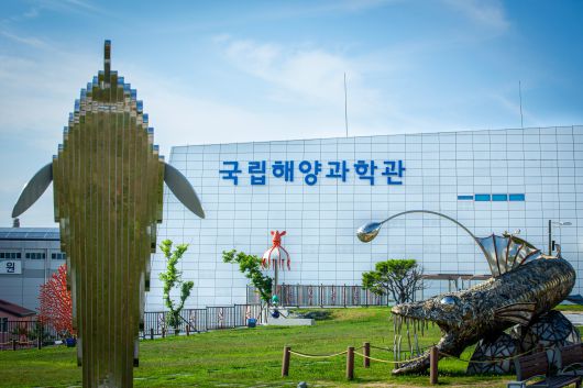 경북 동해안의 '죽변역'과 비교적 가까이 있는 해변은 '후정해수욕장'. 근처엔 '국립해양과학관'이 있어 체험학습 겸 가볼만하다. / 김용재 영상미디어 기자