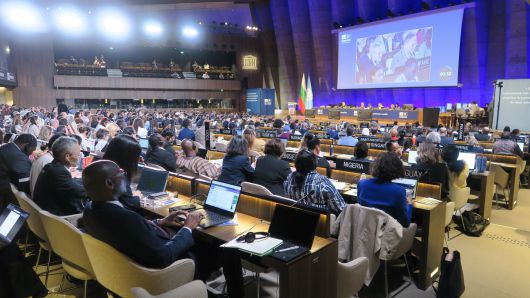 12일 오전(현지 시각) 프랑스 파리에서 열린 제47차 세계유산위원회 회의 현장. 한국이 신청한 '반구천의 암각화'가 유네스코 세계문화유산으로 등재 확정됐다. /국가유산청