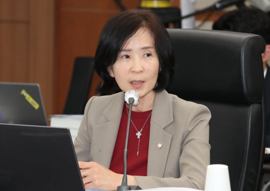 최수진 국민의힘 수석대변인. /뉴스1