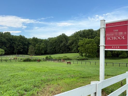 학생들이 승마 수업을 할 때 타는 말들이 교내 방목장에서 풀을 뜯어 먹고 있다. /박국희 특파원