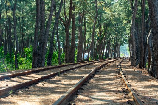 An old railway line runs through the pine forest at Wonpyeong Beach, where the Samcheok Ocean Rail Bike occasionally passes by./Kim Yong-jae