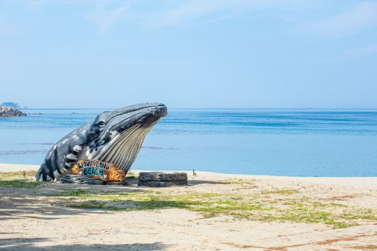A whale-shaped sculpture appears to leap from the sand at Wonpyeong Beach. This is an additional photo spot for tourists./Kim Yong-jae