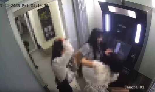 한국 여성이 베트남 여성에게 발길질을 하는 모습. /스레드