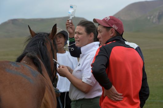 주최측 수의사가 경기를 마친 말의 건강 상태를 점검하고 있다. / AP 연합뉴스