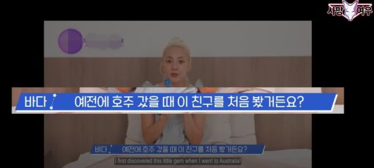 가수 바다가 유튜브 콘텐츠를 통해 "호주에서 봤다"며 한 화장품을 소개하고 있다. /유튜브 '사막여우'