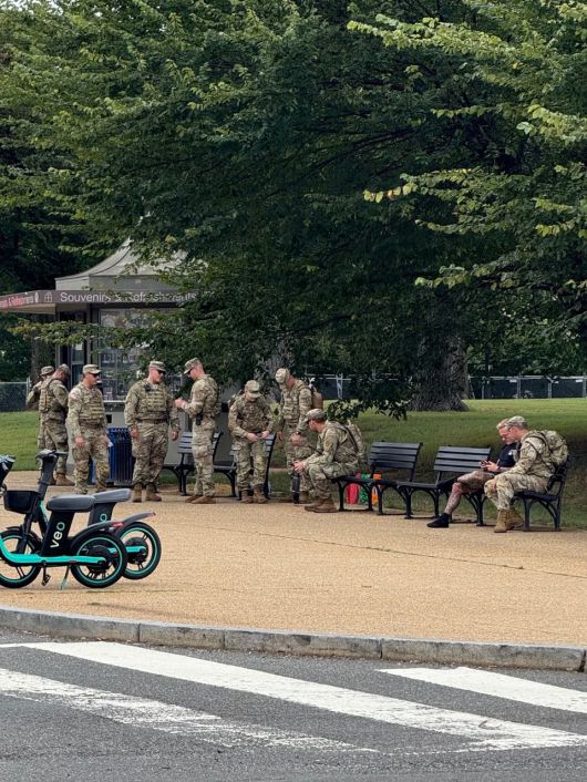 트럼프 지시로 워싱턴에 투입된 주 방위군들이 나무 그늘 아래 벤치에 앉아 휴식을 취하고 있다. /박국희 특파원