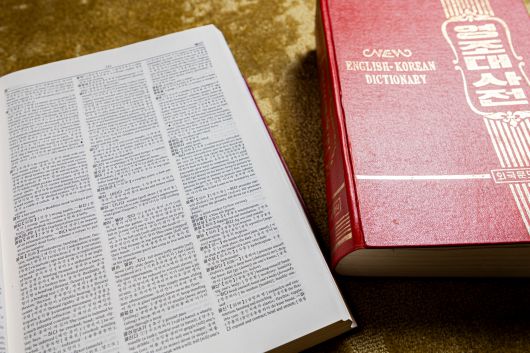 크룩스 대사가 주북대사 시절 사용했던 북한산 영조(영국-조선어)사전과 조영사전. 한국이 미국식 영어를 가르친다면, 북한은 영국식 영어를 정규교과로 배운다. /이신영 영상미디어 기자