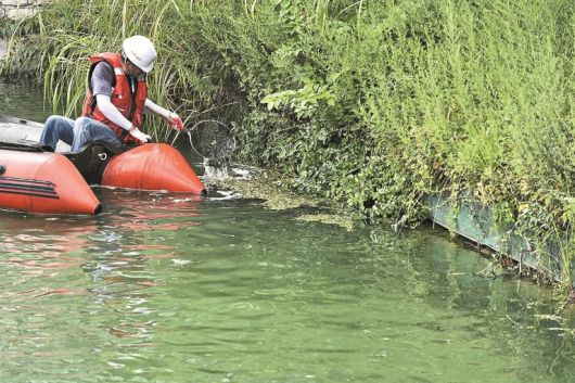 2021년 8월 한 작업자가 당시 4급수 판정을 받은 석촌호수에 보트를 타고 들어가 녹조를 살펴보는 모습. 그해 8월부터 정화 작업을 시작한 석촌호수는 현재까지 1~2급수 수준으로 유지되고 있다./젠스 제공