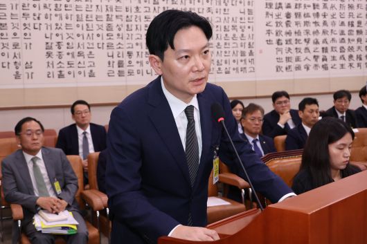 지난 22일 국회 법제사법위원회에서 열린 검찰개혁 입법청문회에서 박상용 수원지검 부부장검사가 대북송금 수사 '연어 술파티' 의혹에 대해 부인하고 있다. /연합뉴스